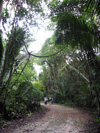 Bajo Trail