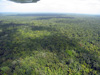 Belize Jungle, 2,900 feet